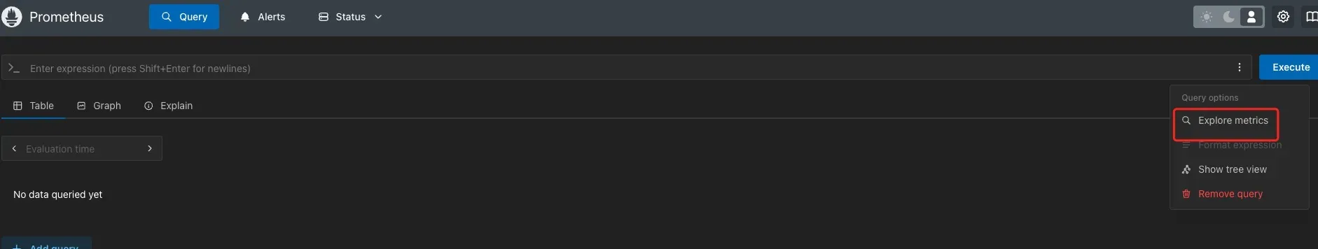 Query Options